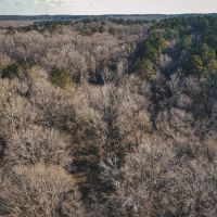 Large Residential Lot in Lincoln Parish images 5
