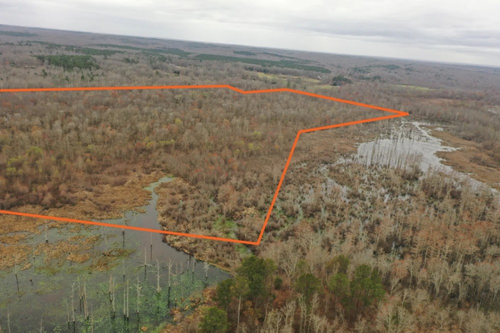 Clover Creek Bottomland featured image