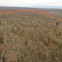 Clover Creek Bottomland images 2