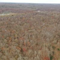 Clover Creek Bottomland images 4
