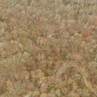 Clover Creek Bottomland images 5