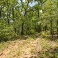 10.01 Acres in Milam County images 2