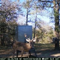10.01 Acres in Milam County images 5