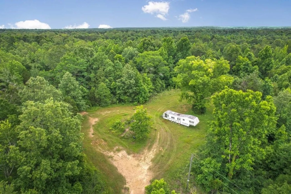 150 Acres Land for Sale Jefferson County MS featured image