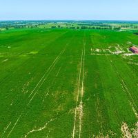Row Crop Farm For Sale Lamar County TX images 4