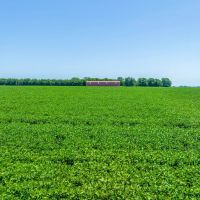 Row Crop Farm For Sale Lamar County TX images 5