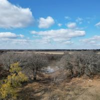 New Listing 133.43 Acres Callahan County images 2