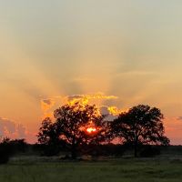 New Listing 133.43 Acres Callahan County images 3