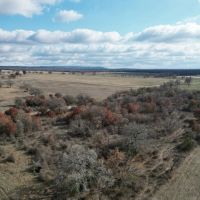 New Listing 133.43 Acres Callahan County images 5