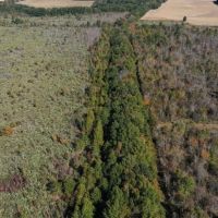 360 - Acres High Fence Land for Sale North Louisiana images 5