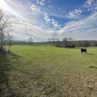 Pastureland for Sale in Kentwood LA images 5