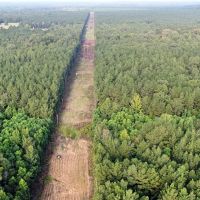 38 Acres Hunting Timberland for Sale Huttig AR images 2