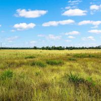 Gillespie County Kent Ranch NW of Fredericksburg images 2