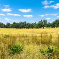Gillespie County Kent Ranch NW of Fredericksburg images 3