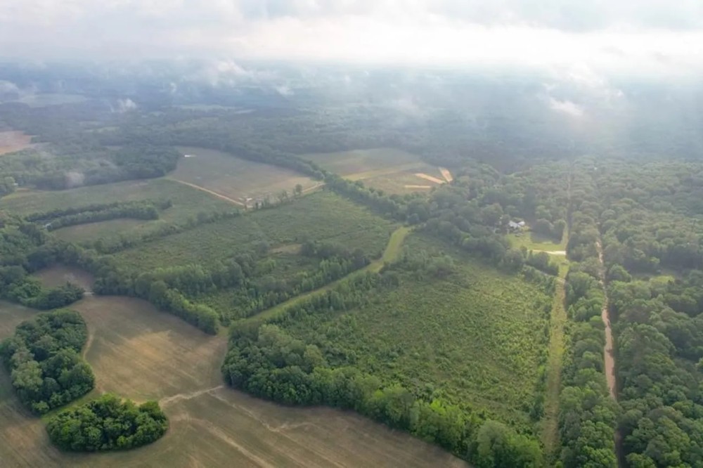 268 - Acres for Sale Claiborne County MS featured image