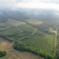 268 - Acres for Sale Claiborne County MS images 1