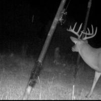 Leona Hunting Ranch images 2