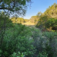 Leona Hunting Ranch images 3