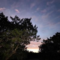 Leona Hunting Ranch images 4