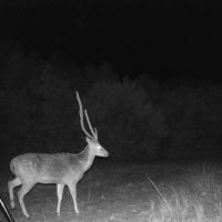 Leona Hunting Ranch images 5