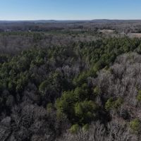 71.8 acres of Residential and Recreational Timber Land For Sale in Person County NC images 3