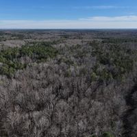 71.8 acres of Residential and Recreational Timber Land For Sale in Person County NC images 4