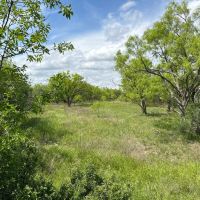 New Listing 29.3 Acres Tract 17 Shackelford County images 4