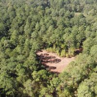 Evergreen 30 East images 3