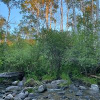Bridger Foothills Parcel 2 images 5