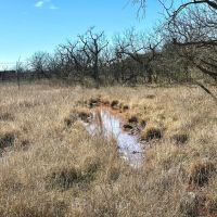 New Listing 78.568 - Acres Brown County images 4