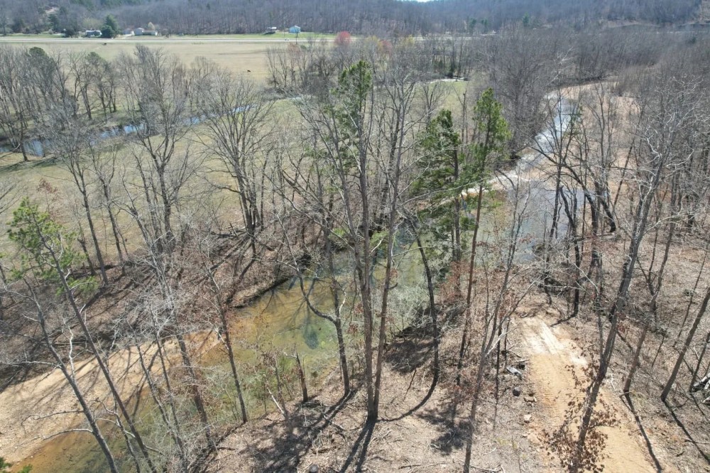 Young Timber Tract 41 featured image