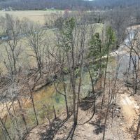 Young Timber Tract 41 images 1