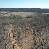 Young Timber Tract 41 images 3