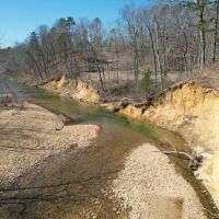 Young Timber Tract 41 images 4
