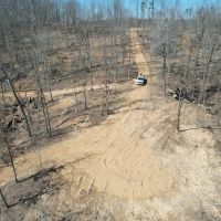 Young Timber Tract 41 images 5