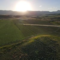 CRAZY P RANCH images 4