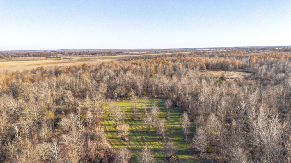 300 acres - Tallahatchie Co. MS featured image