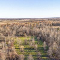 300 acres - Tallahatchie Co. MS images 1