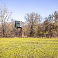 300 acres - Tallahatchie Co. MS images 4