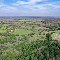 55.5 Acres Limestone County images 5