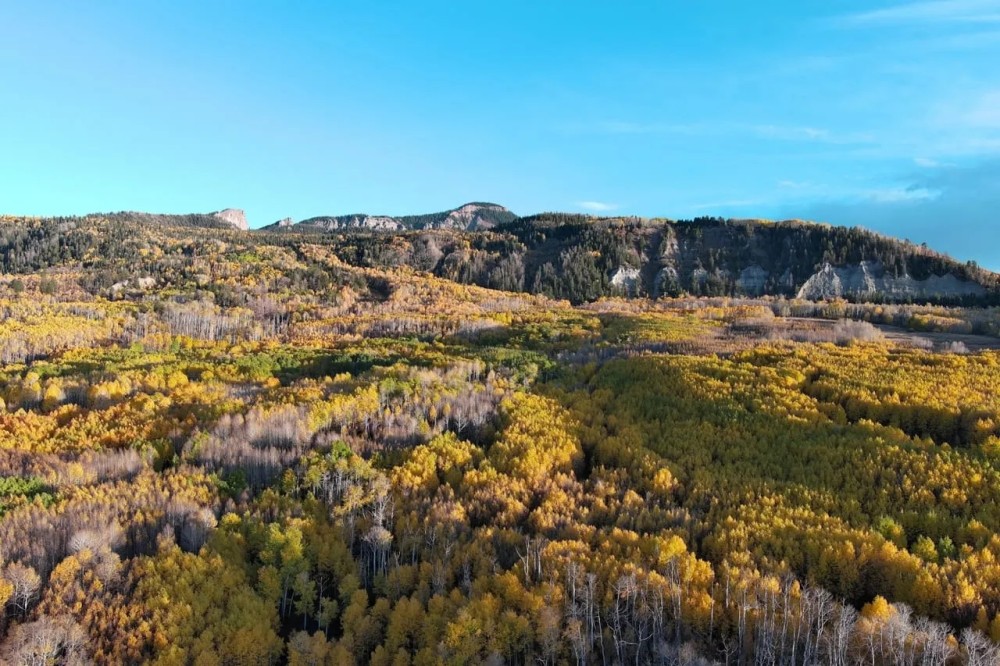Montrose Alpine Ranch featured image
