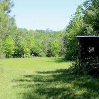 77 Acres for Sale SW Mississippi
