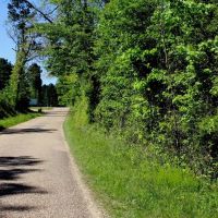 77 Acres for Sale SW Mississippi images 2