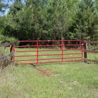 77 Acres for Sale SW Mississippi images 4