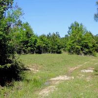 77 Acres for Sale SW Mississippi images 5
