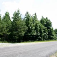Sugarbend 3 Tract