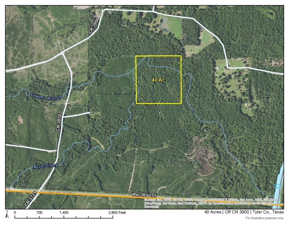 40 Acres Off County Road 3900 featured image
