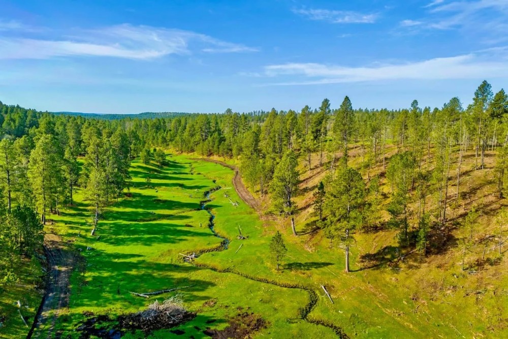 Ranch of Our Lady featured image