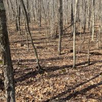 14 acre Hillside Property in Broome County NY images 3