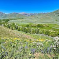 Lava Lake Ranch images 4